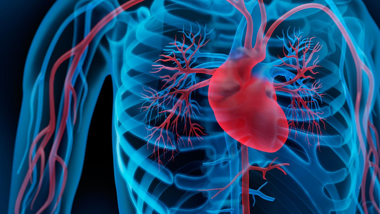 Quality assurance makes your heart beat faster